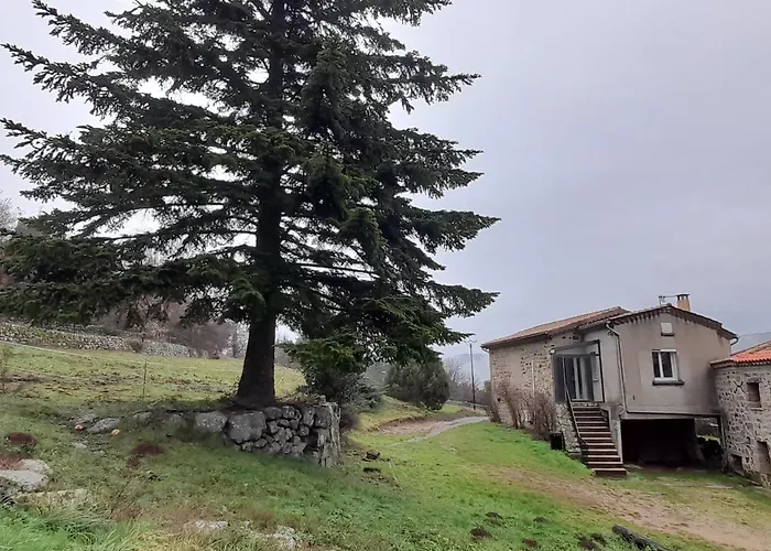 La Grangette Du Mas * Chassiers